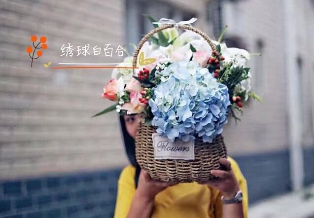 绍兴防辐射植物租摆真的能防辐射么？