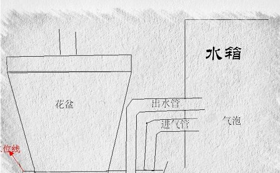 绍兴7种简易的自动浇水装置，春节回家不担心植物死