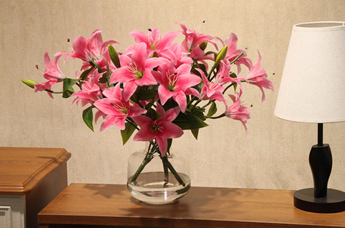 绍兴怎样延长百合花的花期