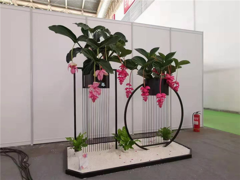 绍兴花架组合