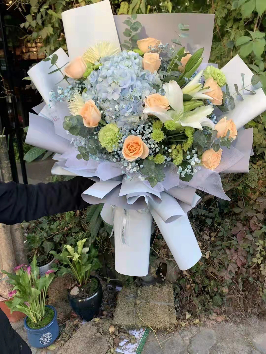 绍兴鲜花